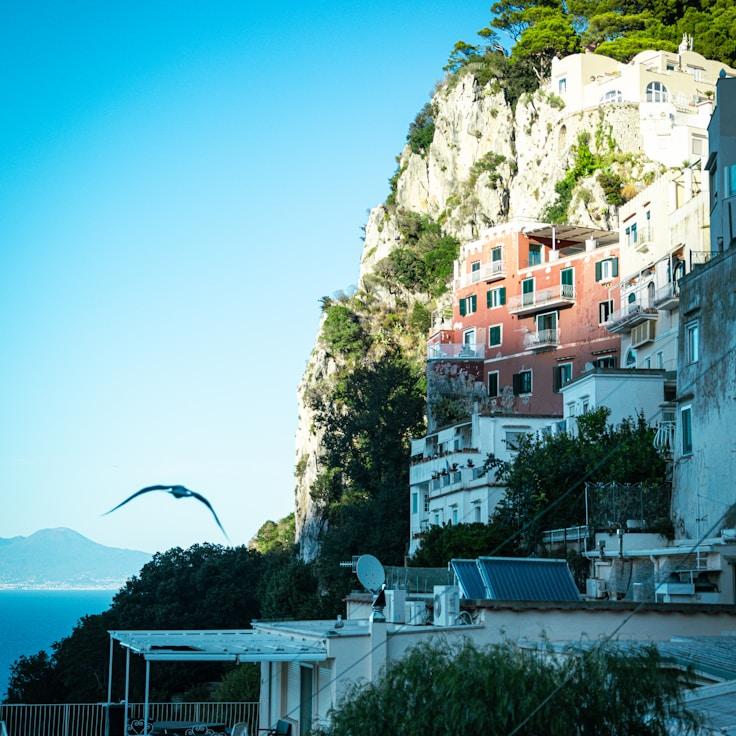 Family terraces and cafés for calm evenings in Amsterdam